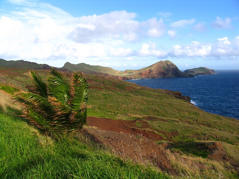 Madeira (120).jpg